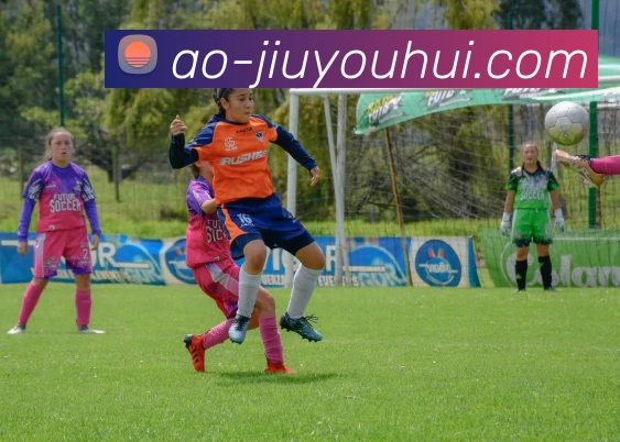 九游会官网APP 封面图